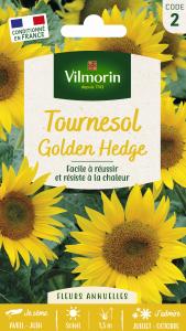 Tournesol Golden Hedge